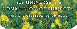 The universe is a communion of subjects, not a collection of objects.  ~ Thomas Berry